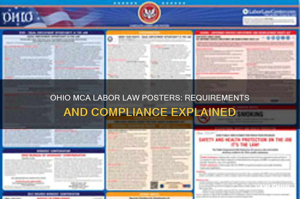 does the mca of ohio have labor law posters