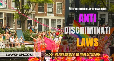 Dutch LGBT Anti-Discrimination Laws: What's the Situation?