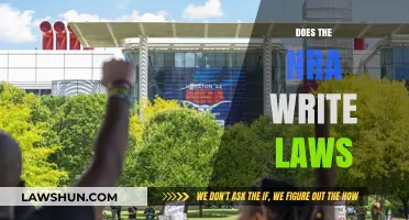 Does the NRA Write Laws? Uncovering Gun Lobby Influence on Legislation