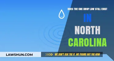Does North Carolina Still Enforce the One Drop Law?