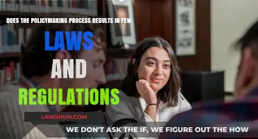 Policymaking Process: Why Few Laws and Regulations Emerge Despite Efforts