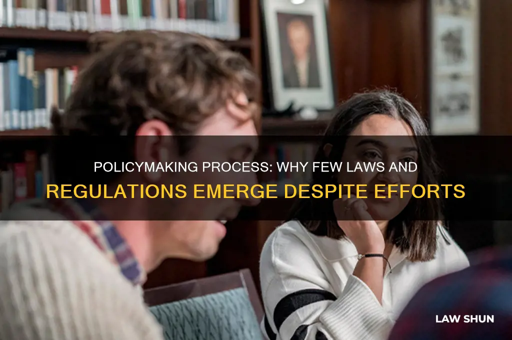 does the policymaking process results in few laws and regulations