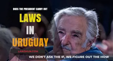 Uruguay's President: Law Executor or Policy Leader?