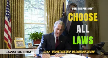 The President's Role in Lawmaking: A Comprehensive Guide