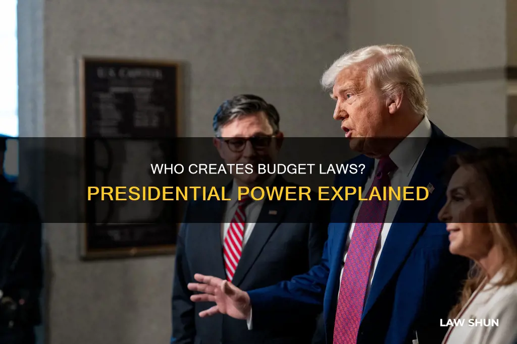 does the president create budget laws
