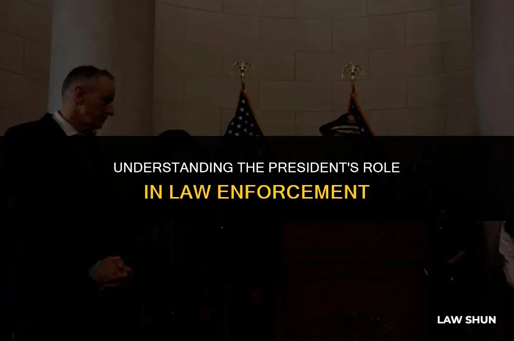 does the president inforce our laws