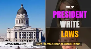 Does the President Write Laws? Understanding the Role of the Executive Branch