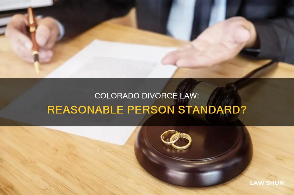 does the reasonable person standard apply to colorado divorce law