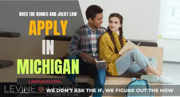 The Romeo and Juliet Law: Michigan's Exception