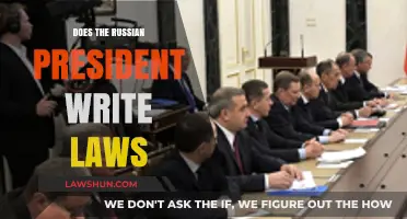 Does Russia's President Write Laws? Understanding Putin's Legislative Role
