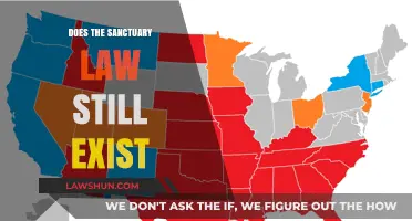 Understanding Sanctuary Laws: Current Status and Implications