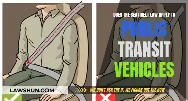 Transit Vehicles and Seat Belt Laws: Who's Exempt?