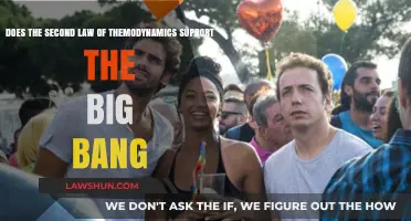 The Big Bang and the Second Law of Thermodynamics: A Cosmic Connection?