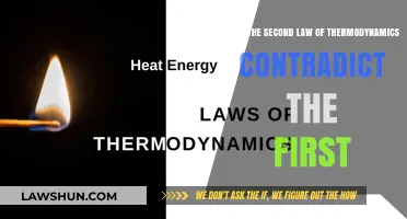 Thermodynamics Laws: Contradiction or Cohesion?