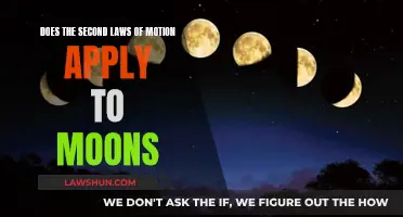 The Moon's Motion and Newton's Second Law