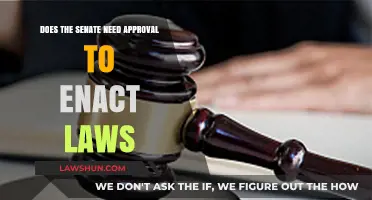 Senate Lawmaking: Does It Require Approval or Act Independently?