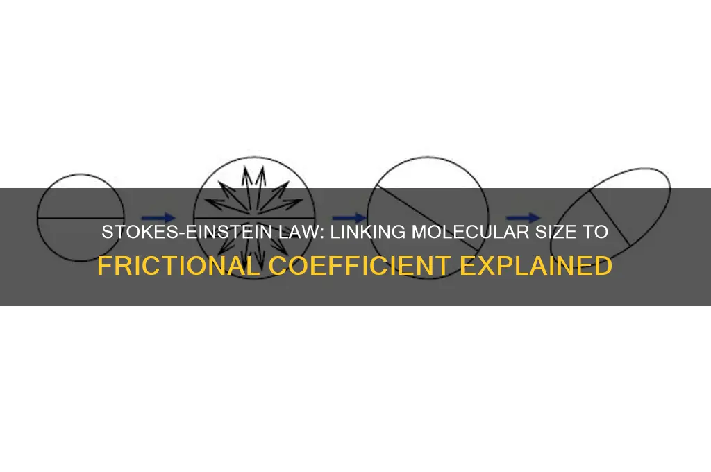 does the stokes-einstein law explain molecular size with frictional coefficient