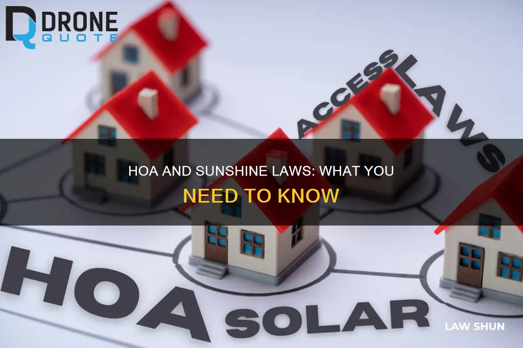 does the sunshine law apply to hoa