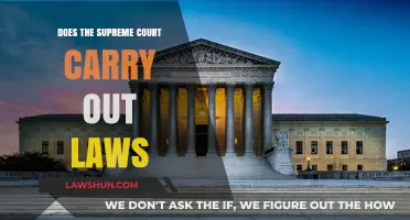 Does the Supreme Court Enforce Laws or Interpret Them?