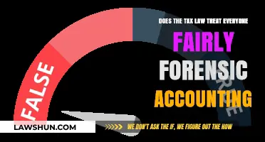 Forensic Accounting: Uncovering Tax Law Fairness