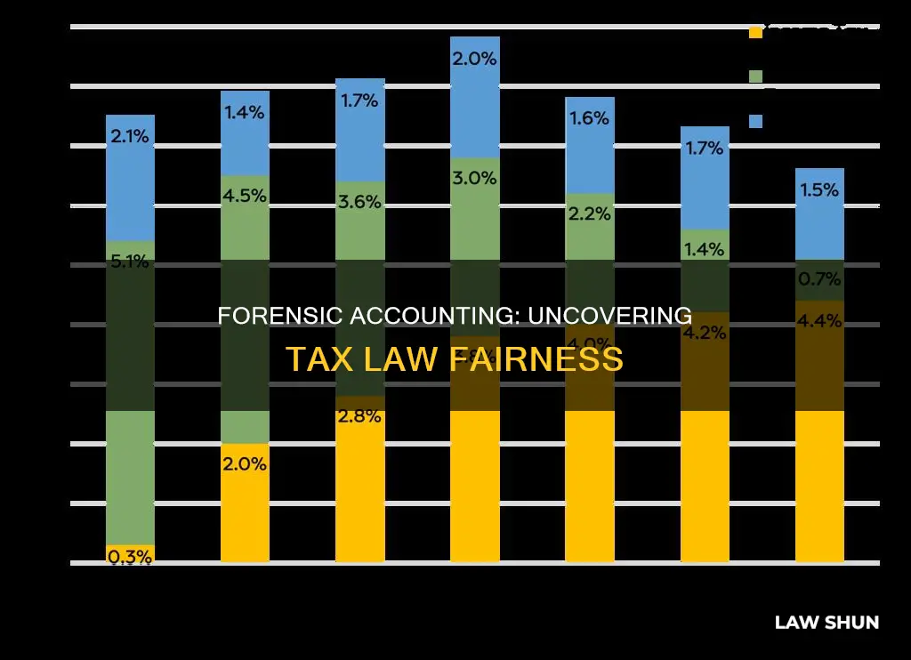 does the tax law treat everyone fairly forensic accounting