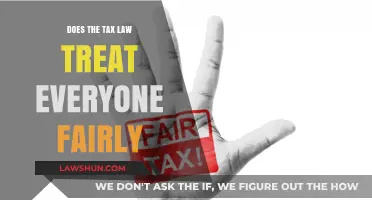 Tax Law: Fairness and Equality?