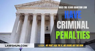 Texas Abortion Law: Criminal Penalties and Their Implications