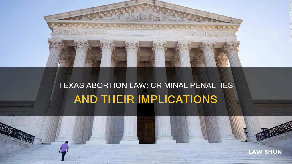 does the texas abortion law have criminal penalties