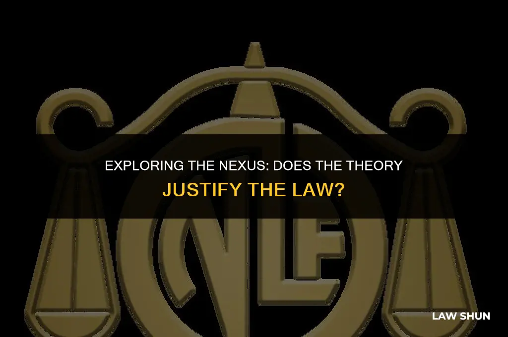 does the theory justify the law