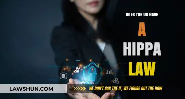 UK's Take on HIPAA: Data Privacy Laws Explored