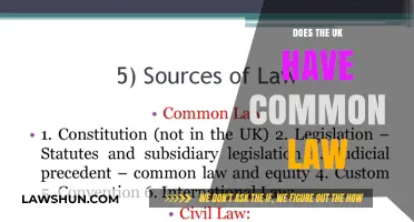 Common Law in the UK: A Real Thing?