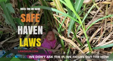 Understanding Safe Haven Laws in the UK