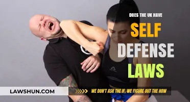 Self-Defense Laws in the UK: What You Need to Know
