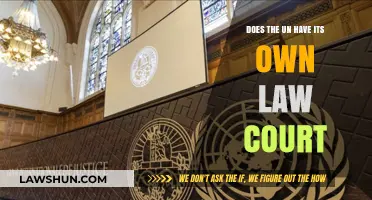 Does the UN Have Its Own Law Court? Exploring International Justice