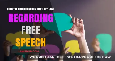 UK Free Speech Laws: Understanding Legal Boundaries and Protections