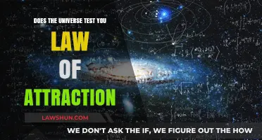 Does the Universe Test You? Exploring the Law of Attraction