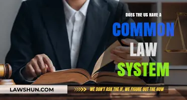 Understanding the US Legal System: Common Law Explained