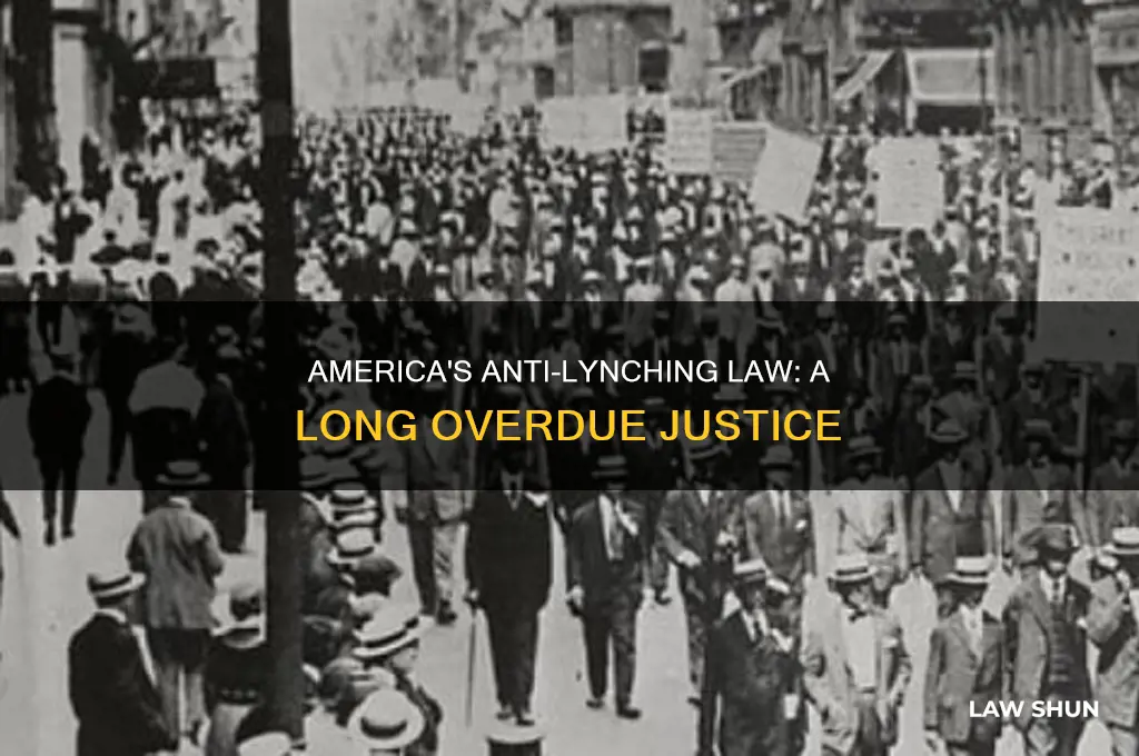 does the us have an anti lynching law