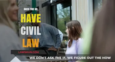 Exploring the US Legal System: Civil Law Presence and Impact