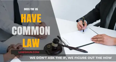 Common Law in the US: A Unique Legal System