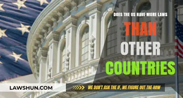 Comparing Legal Landscapes: Does the US Have More Laws Than Others?