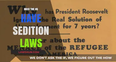 Understanding Sedition Laws in the United States: A Comprehensive Guide