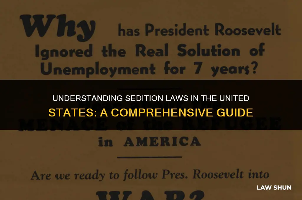 does the us have sedition laws