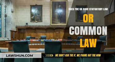 Statutory or Common Law: What's the US Legal System?