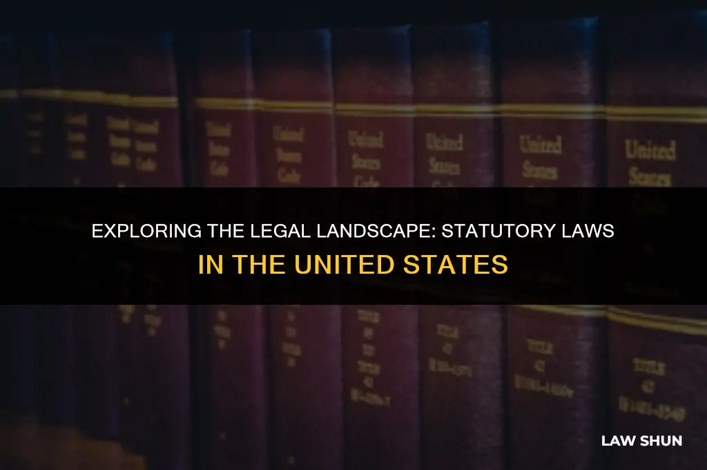 does the us have statutory laws