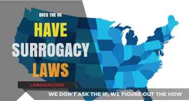 Exploring Surrogacy Laws in the United States: A Comprehensive Guide