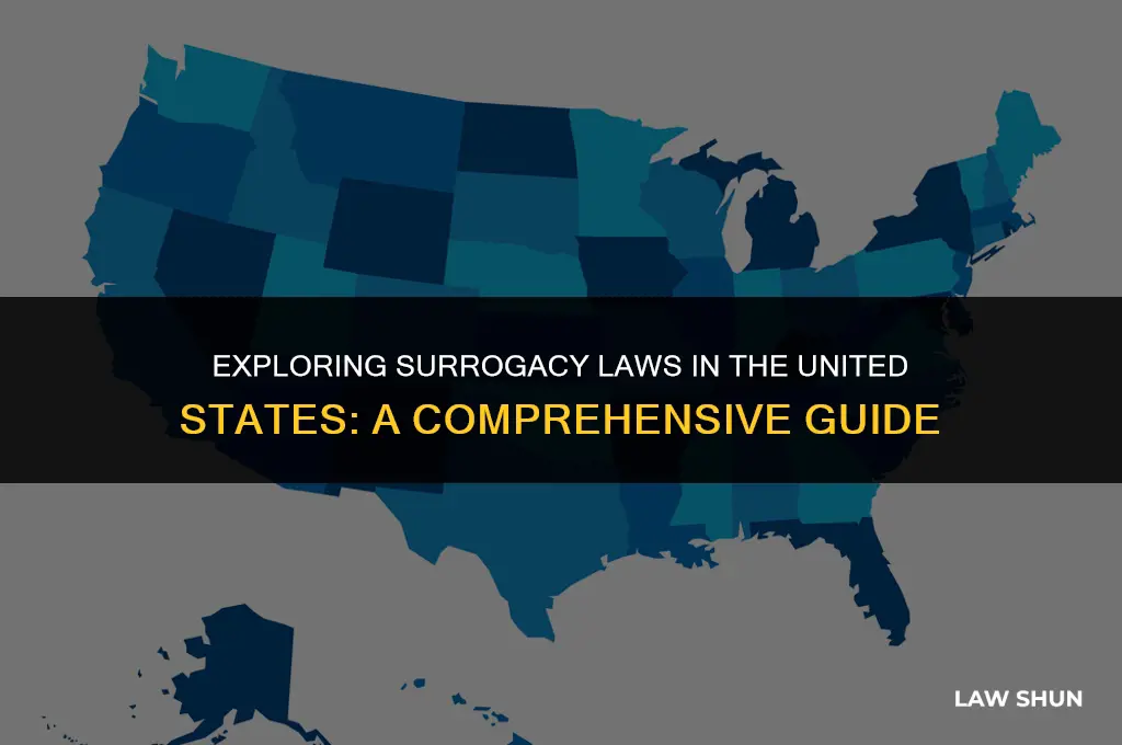 does the us have surrogacy laws