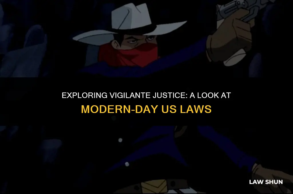 does the us have vigilante laws
