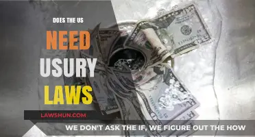 Should the US Enforce Usury Laws to Curb Predatory Lending?