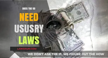 Should the US Enforce Usury Laws to Curb Predatory Lending?